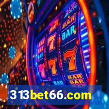 313bet66.com