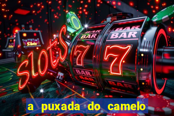 a puxada do camelo no jogo do bicho