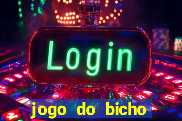 jogo do bicho crash bingo