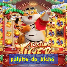 palpite do bicho deu no poste