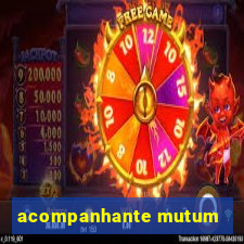 acompanhante mutum