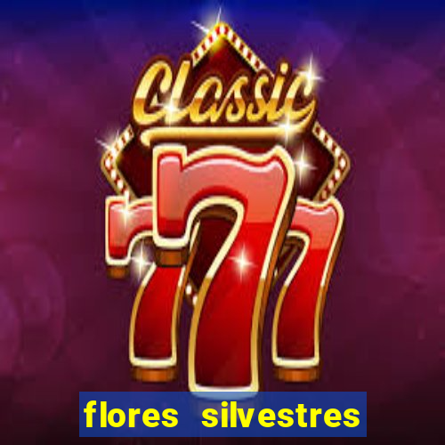 flores silvestres desbravadores desbravadores 25 flores silvestres e seus nomes