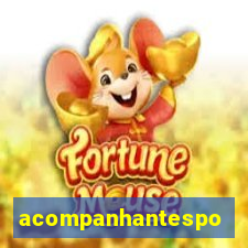 acompanhantesportovelho