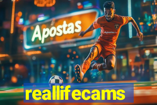 reallifecams