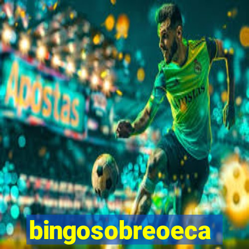 bingosobreoeca